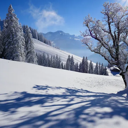 Baeren Szálloda Mellau